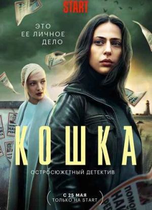 Кошка 2023 Кошка 2023